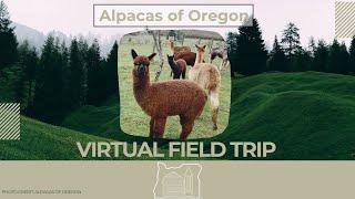 Alpacas of Oregon Virtual Farm Field Trip