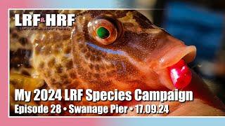 Episode 28: My 2024 LRF Species Hunt - Swanage Pier