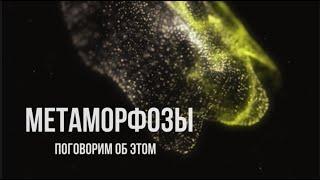 Метаморфозы. Юлия Мохова  #коммуникации