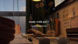 【焚き火】STUDY WITH ME！┊ 入試まであと少し。不安になる時こそ、一緒に落ち着いた勉強時間を過ごしませんか？𓂃𓈒𓏸𓍯