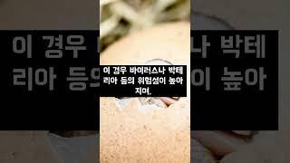 물에 절대 씻지 말고 먹어야 하는 음식 3가지