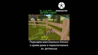 Как выбраться за пределы дома в WildCraft?