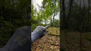 Тут опорожнялись… #forest #metaldetecting #серебро #монета