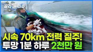 대형 뜰채 무게만 100kg! 물 반 고기 반 자칫하면 배가 뒤집어진다!┃시속 70km 전력 질주 후 투망 1분┃바다 위 어부의 기막힌 속도전┃만선 전어잡이┃극한직업┃#골라듄다큐