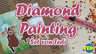 Diamond Painting Set || Tedi || DIY