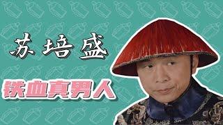 【风油精说】苏培盛 | 提着脑袋打满全场 | 对我是老婆奴 | 甄嬛传人物小传