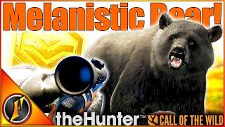 It Paid Off! MELANISTIC GOLD Brown Bear on Revontuli! | Call of the Wild