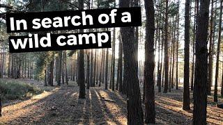 Lost in the Woods: A Wild Camp Recce | Surrey | Last Video of 2019