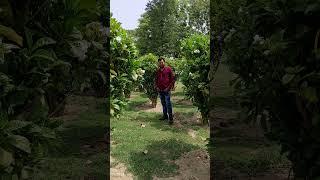 AMRESH KUMAR May YouTube channel shout videos