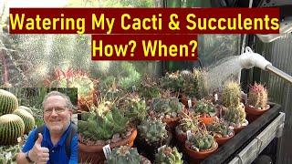 Watering cacti & other succulents: how & when I do it #cacti #cactuscare #succulents #succulentcare