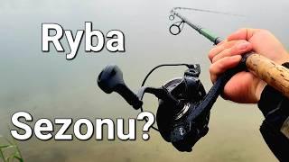 Ryba Sezonu na Method Feeder?! Jesienne Kabany?! Wędkarstwo Feederowe! Ryby z Dystansu!