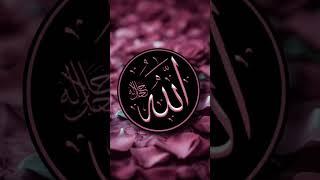 Wo Mera Nabi l #ibadat #islam #islamic #india #shorts #short #viral #viralshorts #trending #allah