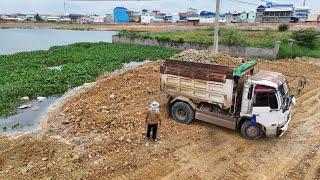 Amazing New Project! Operated filling Flooded land Next to the road Use KOMATSU Dozer And Dump Truck