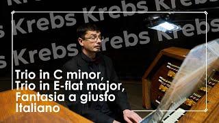 Krebs: Trio in C minor, Trio in E-flat major, Fantasia a giusto Italiano