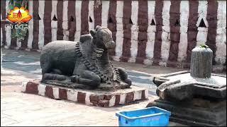 గోలింగేశ్వర స్వామి ఆలయం ,బిక్కవోలు | Three Shiva Temples at a place | Daiva Darshanam |