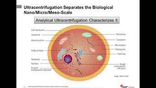 An Introduction to characterization of biomolecules using analytical ultracentrifugation