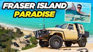 FRASER ISLAND MADNESS! MARLIN caught 50m off the beach + BEST BEACH CAMP IN AUS! 4WD24/7 on K'Gari