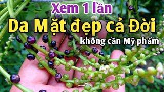 Cách làm Đẹp truyền thống, giúp Da Mặt Đẹp mịn màng. PHAN HẢI Channel