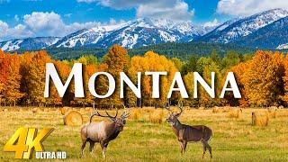 Montana (4K UHD) Fall Beauty – Cinematic Views of Autumn in Montana | Amazing Nature