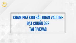 Khám Phá Kho Bảo Quản Vaccine Đạt Chuẩn GSP Tại Fivevac