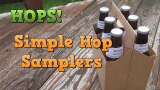 Brew a Simple Hop Sampler!  (6-Pack using Extract)