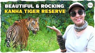 Kanha Tiger Reserve - Beautiful & Rocking || Wildlife 4K Vlog || Sadaa Wild Stories|| #tiger #kanha