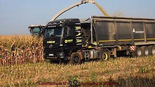 Claas - Fendt - MB - MAN - ++ / Maissilage - Silaging Maize  2024