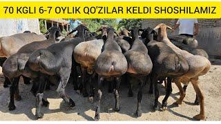 ASL XISOR N/1 XISORLAR KELDI SHOSHILAMIZ ILYOS TAG'ADAN SHOSHILAMIZ