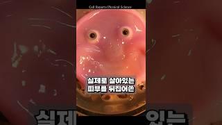 인간의 피부를 가진 로봇의 등장 #shorts