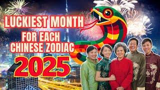 Luckiest Month For Each Chinese Zodiac Sign In 2025 | Ziggy Natural