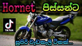 Honda Hornet Stunt & Burnout || Tik tok || Sri Lanka