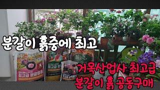 분갈이 흙중에 최고 거목산업사 최고급 분갈이흙 공동구매