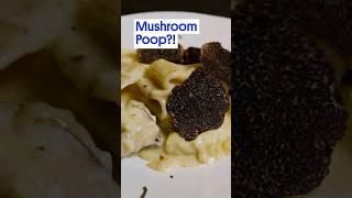 The Dirty Truth About Truffles