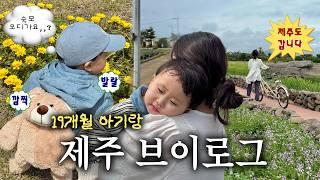 19개월 아기랑 제주도 가족 여행 vlog l 장난감 많은 숙소•유아 동반 맛집/카페 추천•가족 스냅•새별프렌즈•서쪽 여행코스