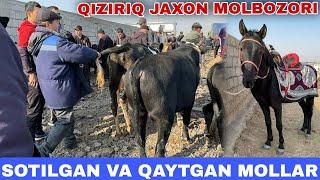 QIZIRIQ JAXON MOLBOZORI SOTILGAN VA QAYTGAN MOLLAR OT TOYLAR NARXLARI 10.11.2024