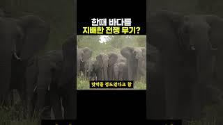 한때 바다를 지배했던 어마무시한 전쟁 무기 ㄷㄷ