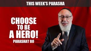 Choose To Be A Hero! | Rabbi Yaacov Haber | Parashat Bo