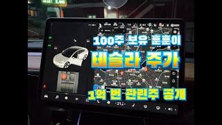 테슬라 주가 전망 테슬라 주식일기 100주 보유중, 2달간 1억번 전기차, 배터리, 항공 관련주 국내주식 공개