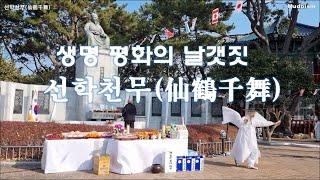 생명평화의 날갯짓 선학천무仙鶴千舞
