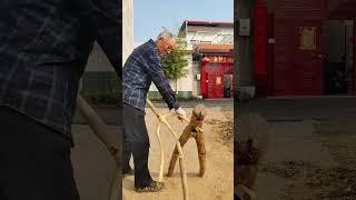 Wood pitchfork making process- Good tools and machinery can increase work efficiency