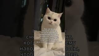 #душа #фильм #душадух #мама #психология #трудноедетство #семья #кино #сребенком #терапия