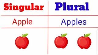 English Singular And Plural Part 1/// Learn English with pictures