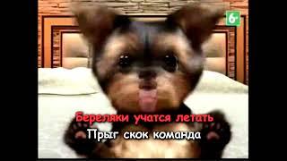 DVD - меню : Телепередачи для детей выпуск 1 сторона 1