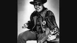 Pay Bo Diddley - The BlueBloods