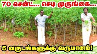 முருங்கை இலைக்கு இத்தனை மவுசா? | 5 வருடங்களுக்கு வருமானம் | drumstick | murungai