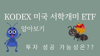 KODEX 미국 서학개미 ETF는 어떤 ETF? 투자 성공 가능성은?