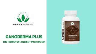 Ganoderma Plus from Green World: Power Of the Ancient Mushroom