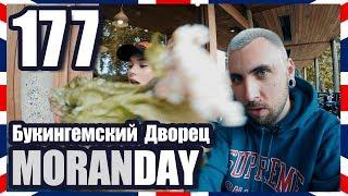 Moran Day 177 - Букингемский Дворец (Англия) 󠁧󠁢󠁥󠁮󠁧󠁿 