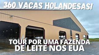 14.688 LITROS DE LEITE POR DIA COM VAGÃO AUTOMATIZADO E ORDENHA ROBÓTICA - ESTADOS UNIDOS 