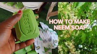 NEEM PLANT, HOW I MAKE NEEM SOAP